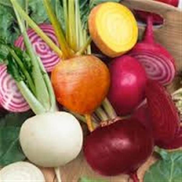 J & L Heirloom mixed beetroot collection 2gm seeds